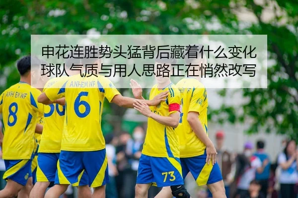 shen-hua-lian-sheng-shi-tou-meng-bei-hou-cang-zhe-shen-me-bian-hua-qiu-dui-qi-zhi-yu-yong-ren-si-lu-zheng-zai-qiao-ran-2-198.jpg